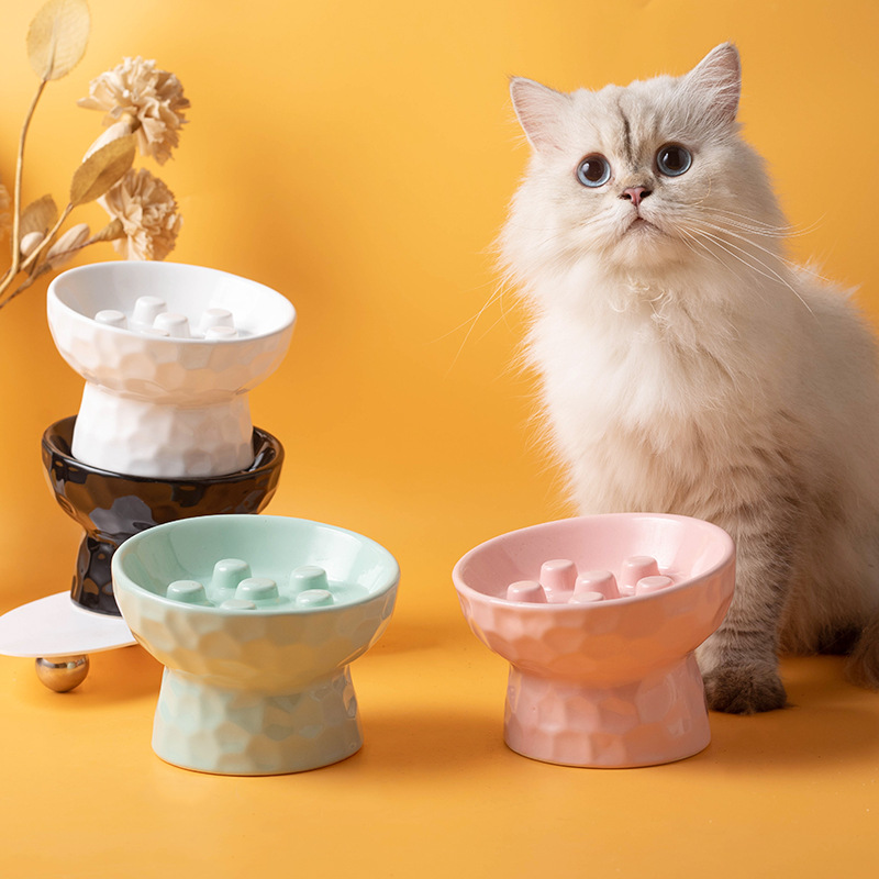 Slow Cooker Ceramic - 1 adet kedi kasesi seramik yüksek