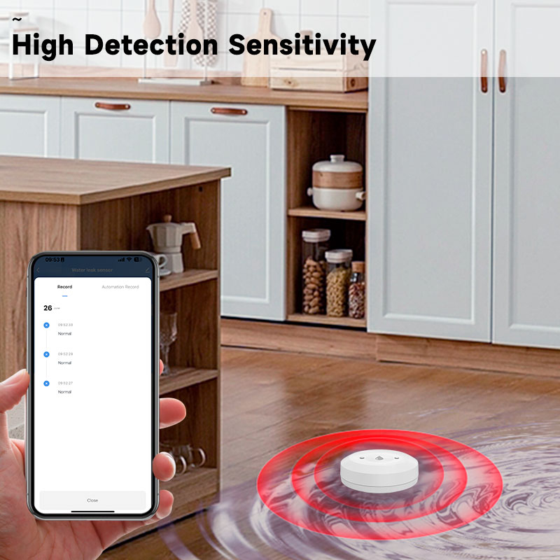 Tuya ZigBee Akıllı Su Kaçak Se - Kitchen Appliances Video incelemesi ve fiyatı