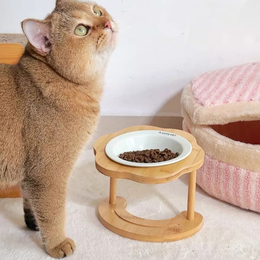Evcil Hayvan Malzemeleri Seram - Slow Cooker Ceramic incelemesi ve fiyatı