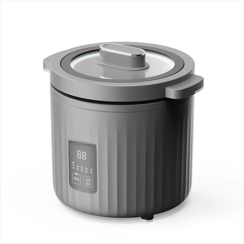 1L Küçük Mini Pilav Pişirici 1 - Slow Cooker Ceramic incelemesi ve fiyatı