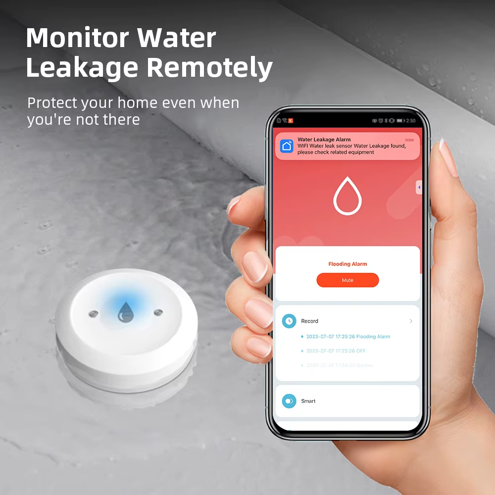 ZigBee Akıllı Su Kaçağı Sensör - Kitchen Appliances Video incelemesi ve fiyatı